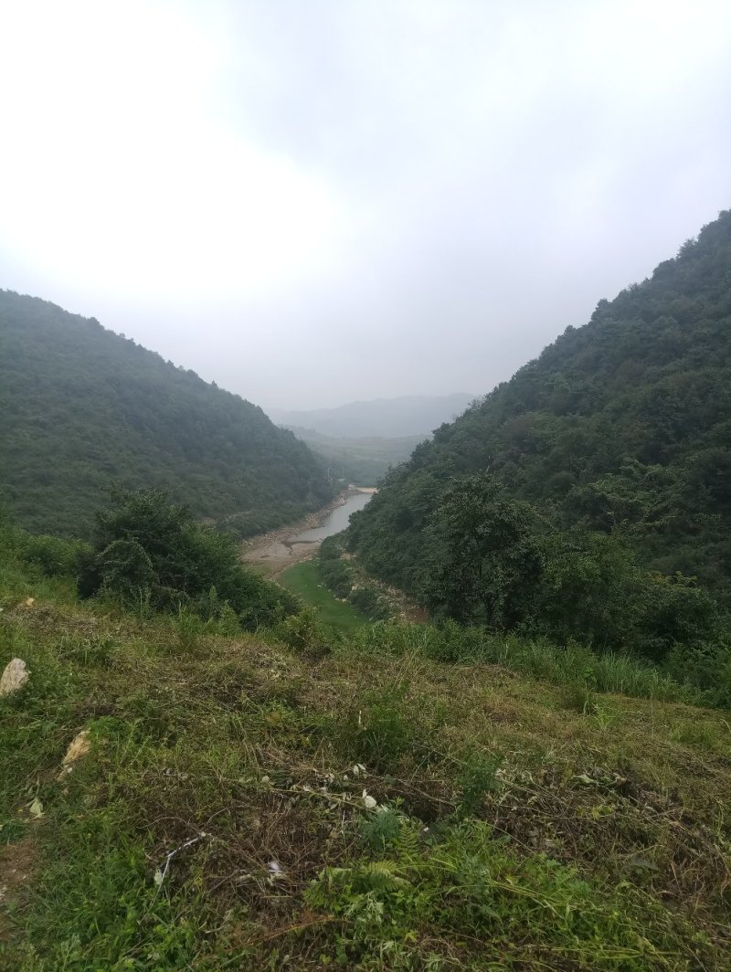 土地招租或合伙开发