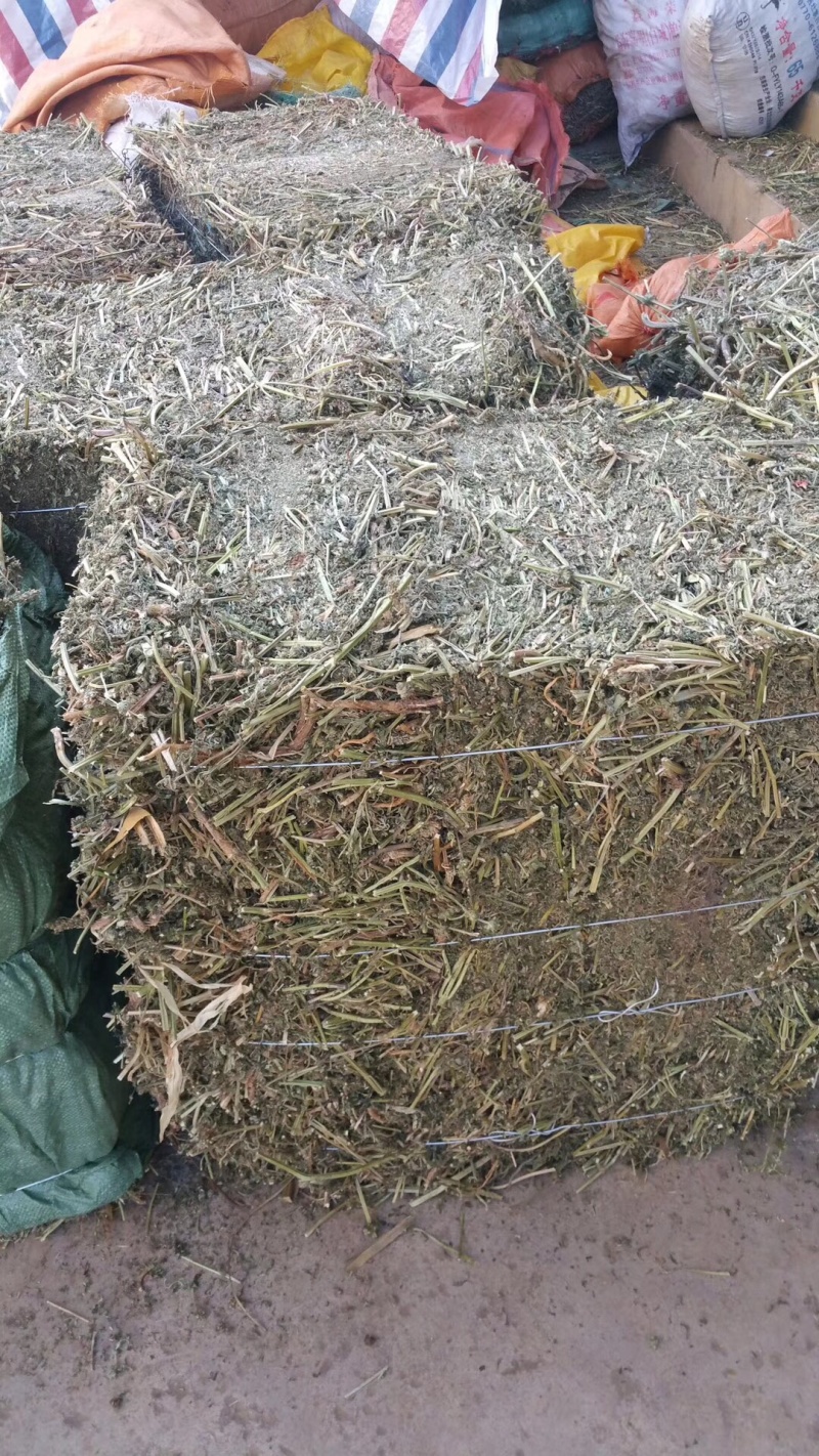 纯野生益母草，鲜品干品都有