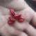 山萸肉山芋肉山于山茱萸