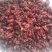 山萸肉山芋肉山于山茱萸