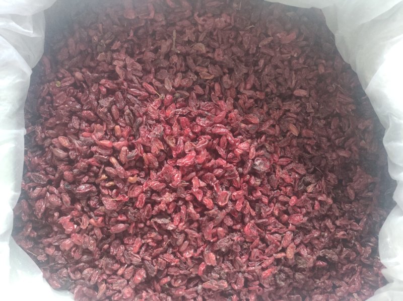 山萸肉山芋肉山于山茱萸