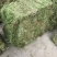 伸筋草，个子，机压包。干货