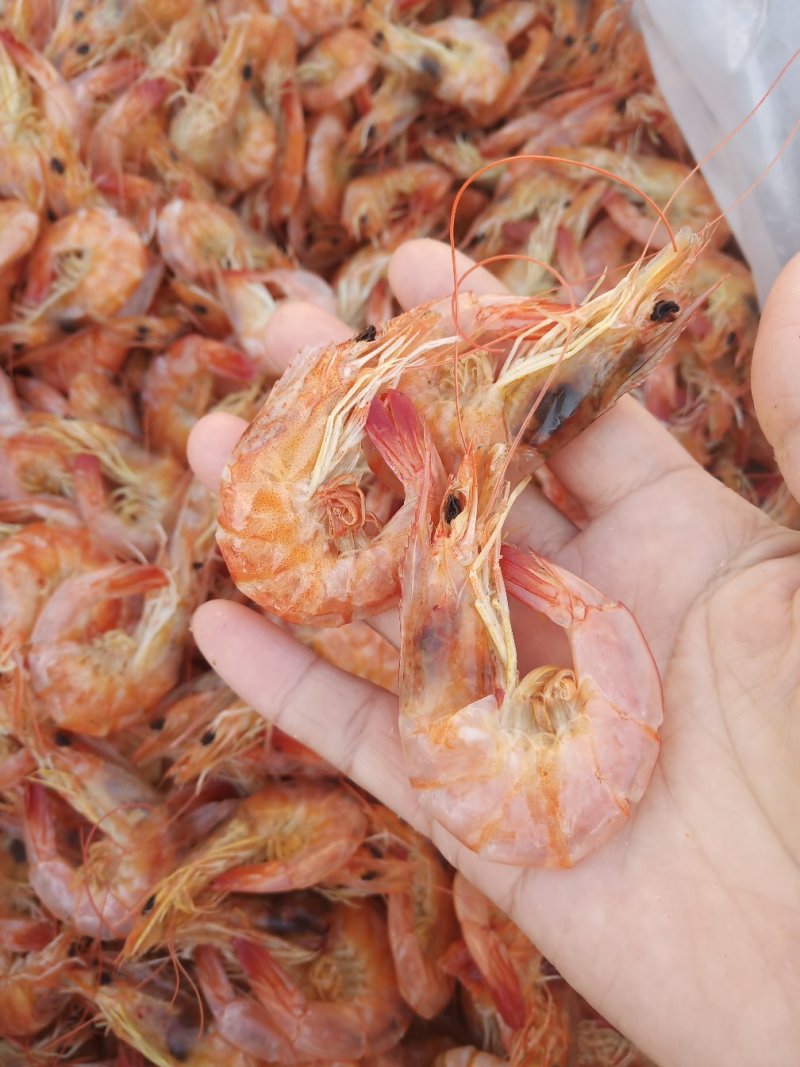 干虾