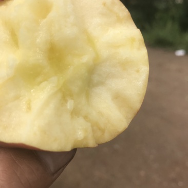 苹果