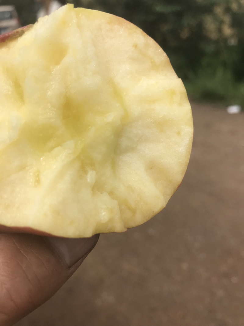 苹果