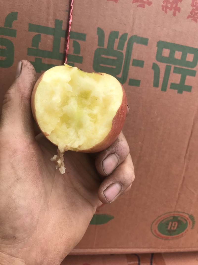 苹果