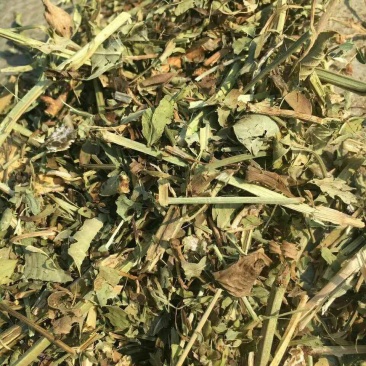 牧草:小麦秸秆:花生秧、草场直销牛羊马兔草料