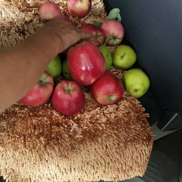 纸膜红星苹果