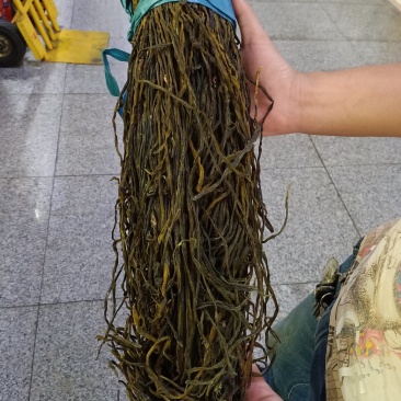 干豆角