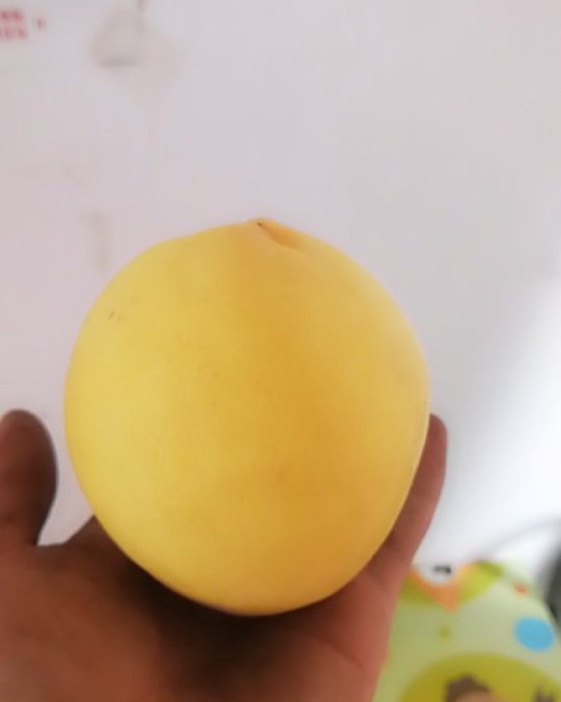 陕西黄桃锦绣黄桃，口感甜，糖度高。大量上市供应中。