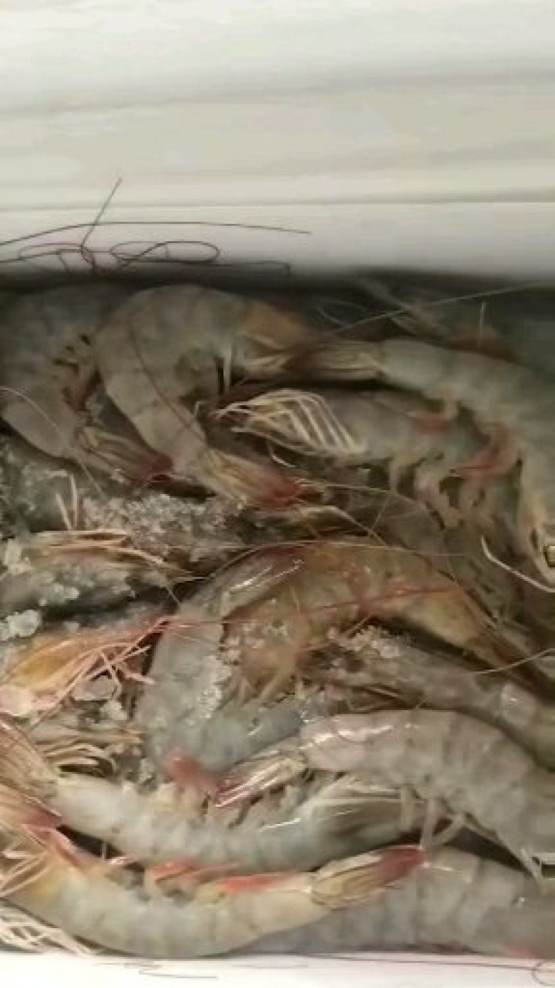 海扑大虾，