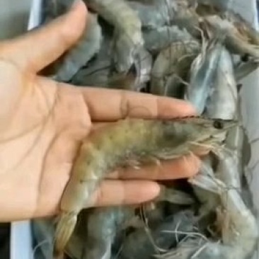 海扑大虾，