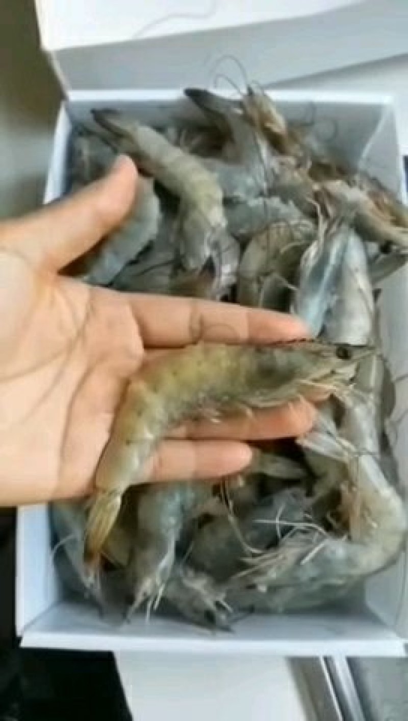 海扑大虾，
