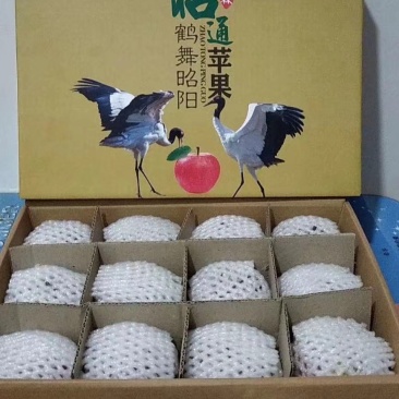昭通苹果🍎