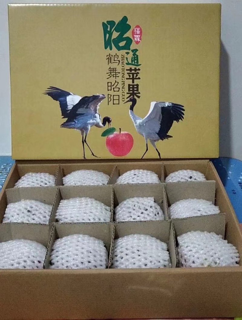昭通苹果🍎