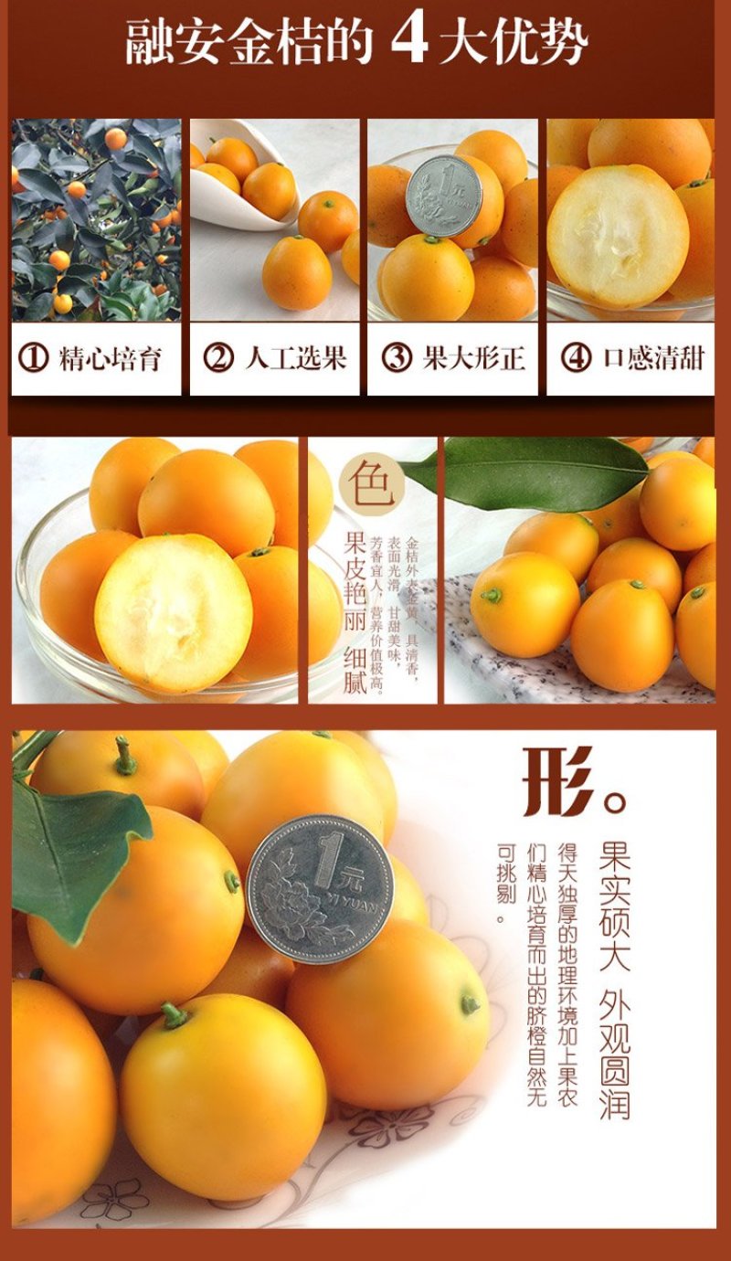 融安滑皮金桔产地直供