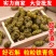 铁皮石斛霍山石斛仿野生铁皮石斛枫斗散装产地货源批发