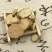木通川木通可打粉批发零售中药材品质保证