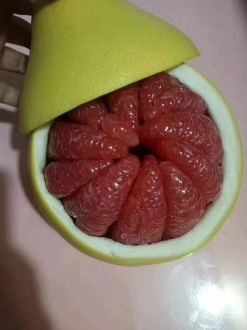 福建红心柚