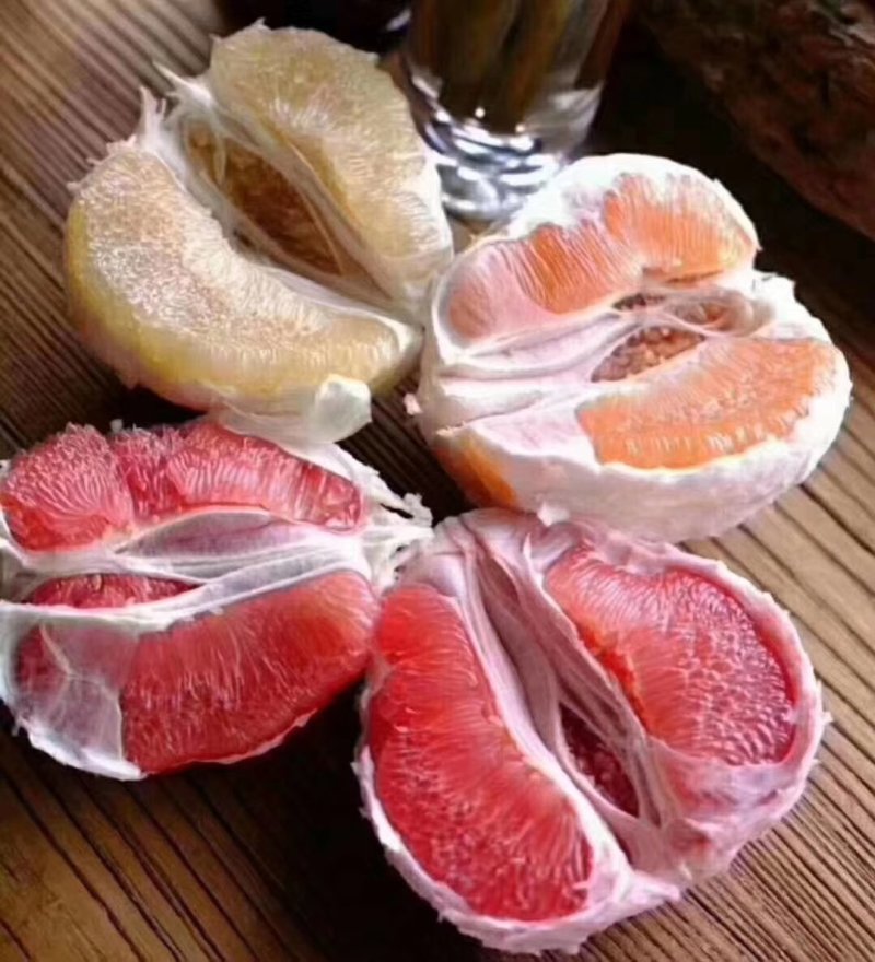 福建红心柚