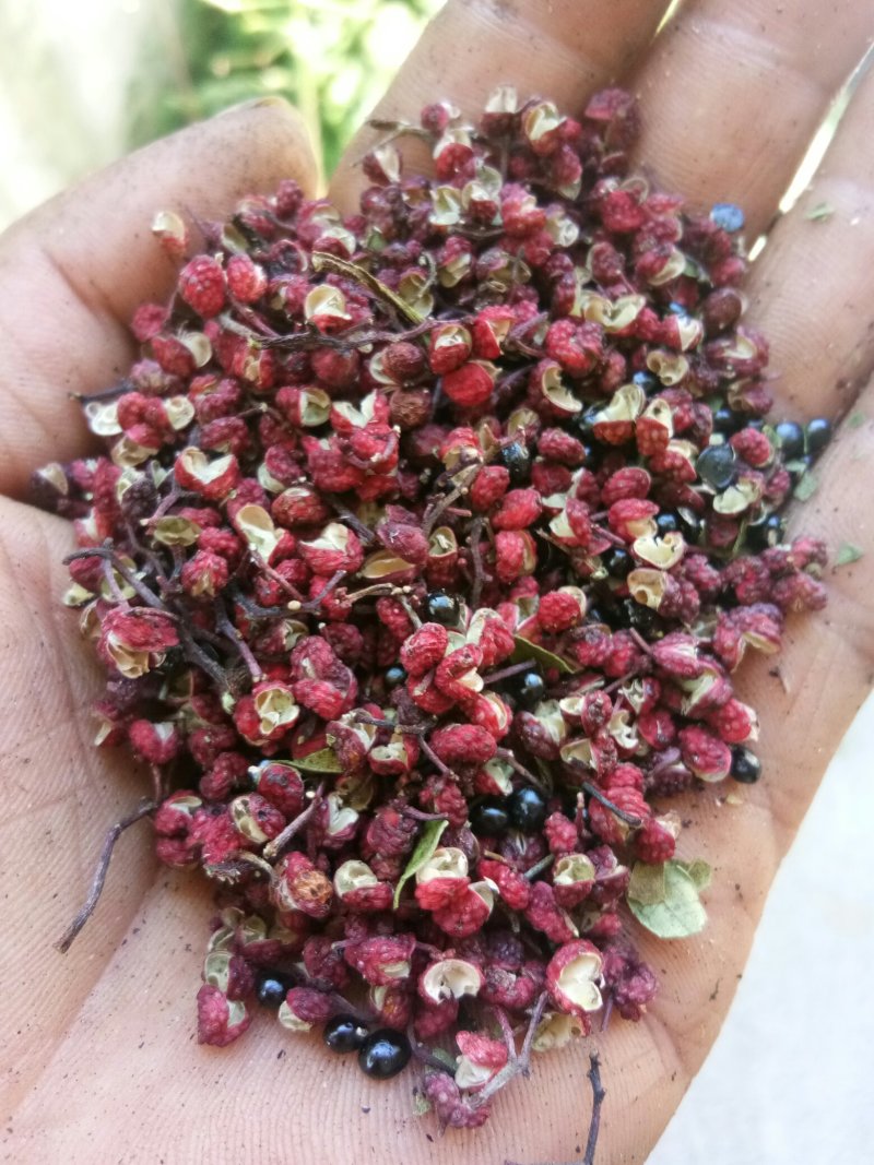 汉源花椒，贡椒。有1千多年上贡历史，味纯正，麻香味充足