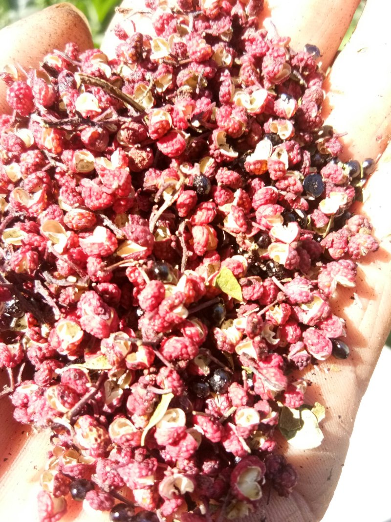 汉源花椒，贡椒。有1千多年上贡历史，味纯正，麻香味充足