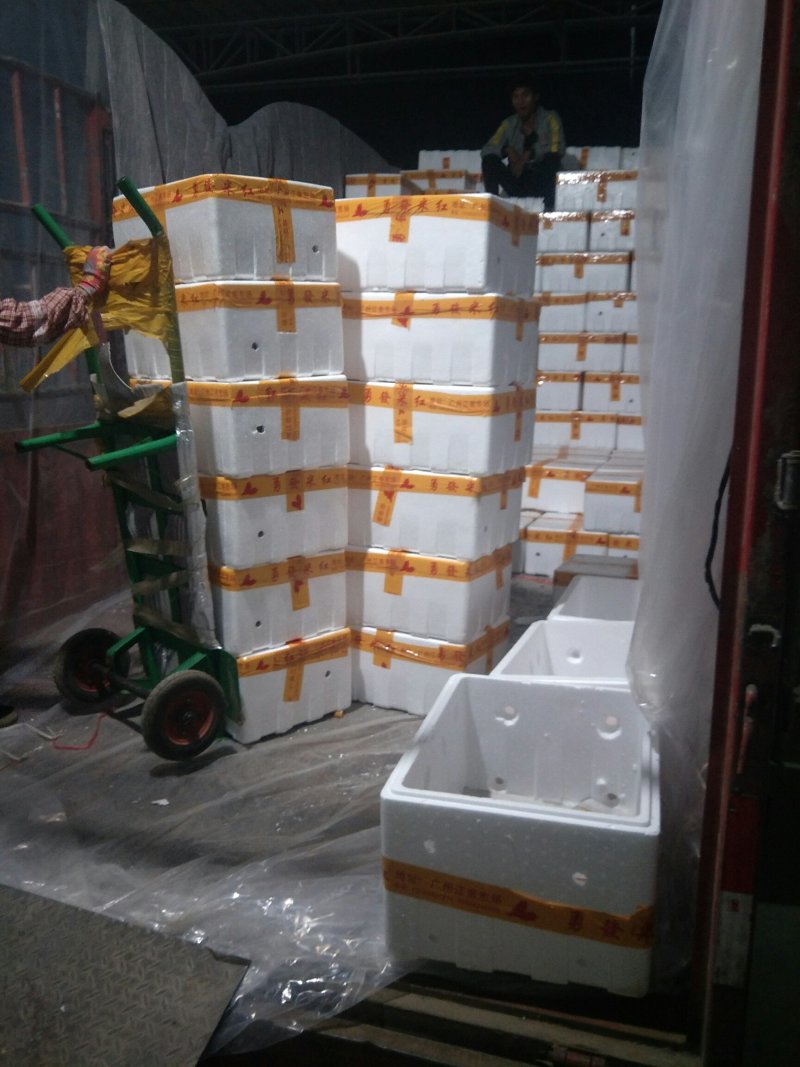 精品朝天椒小米辣