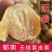 无核黄皮苗黄皮苗嫁接苗