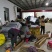 热卖区(广西甘蔗)基地直供，回程车免费提供。