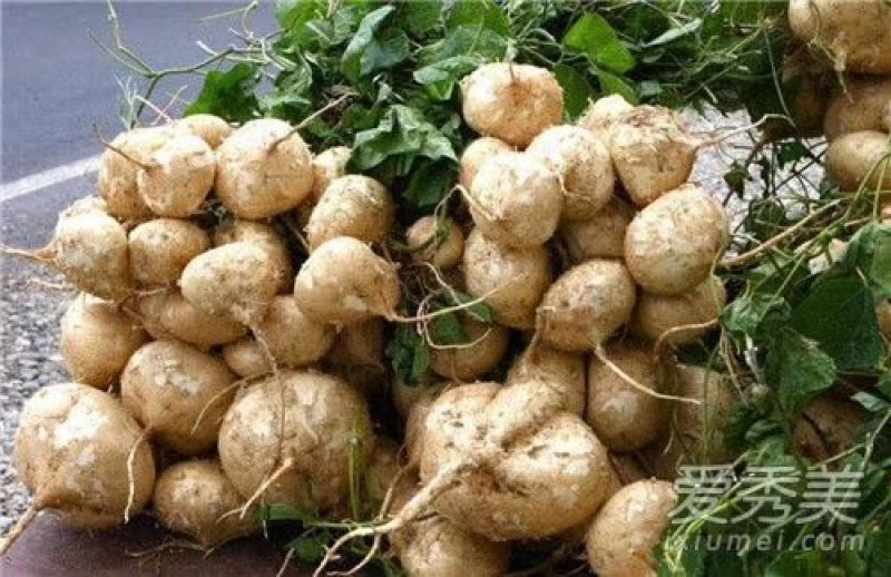 湖北沙土地凉薯地瓜大量上市整车有货价格美丽质量好走货快