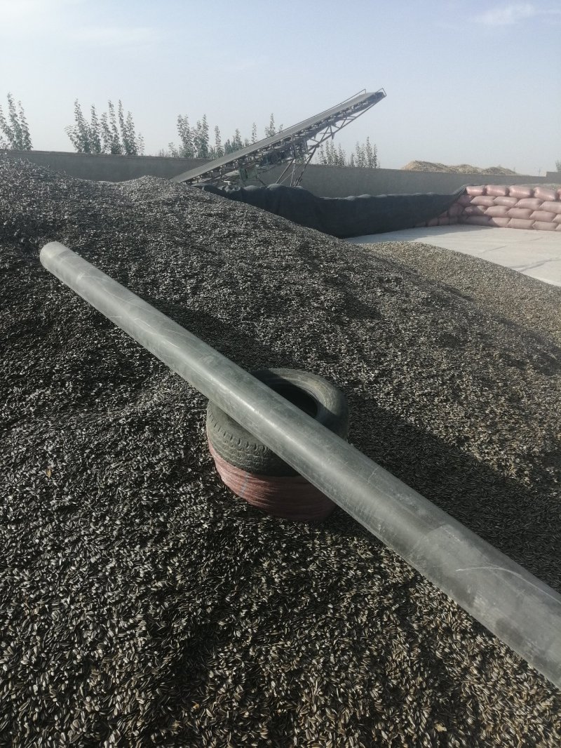 甘肃363葵花子原产地批发瓜子颗粒大皮薄肉多色选干净