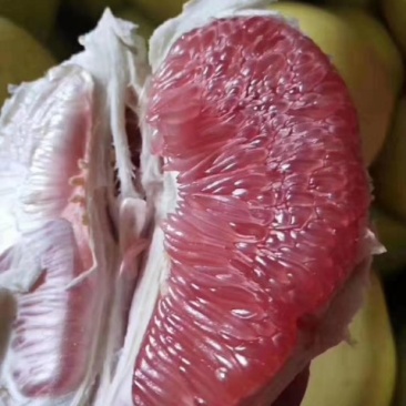 三红蜜柚