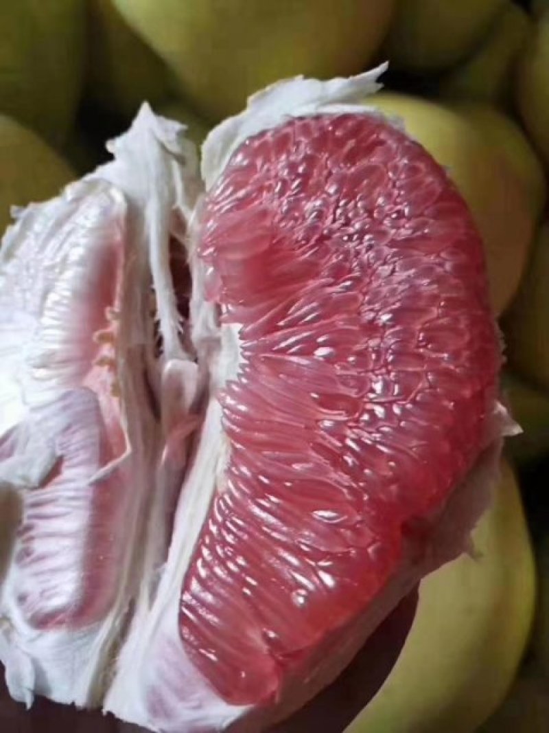 三红蜜柚