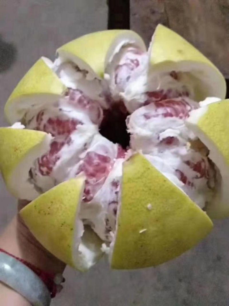三红蜜柚