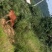 湖北黄冈本地黄牛