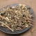 一枝黄花千余品种供应承接订单
