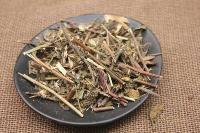 一枝黄花千余品种供应承接订单
