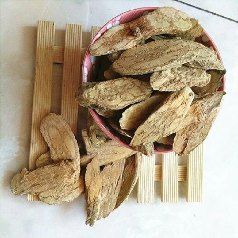 丁公藤千余品种供应承接订单