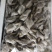 汉虾31/40
