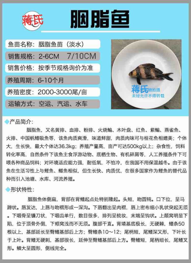胭脂鱼