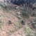 鸡，散养鸡场地价格公司直销
