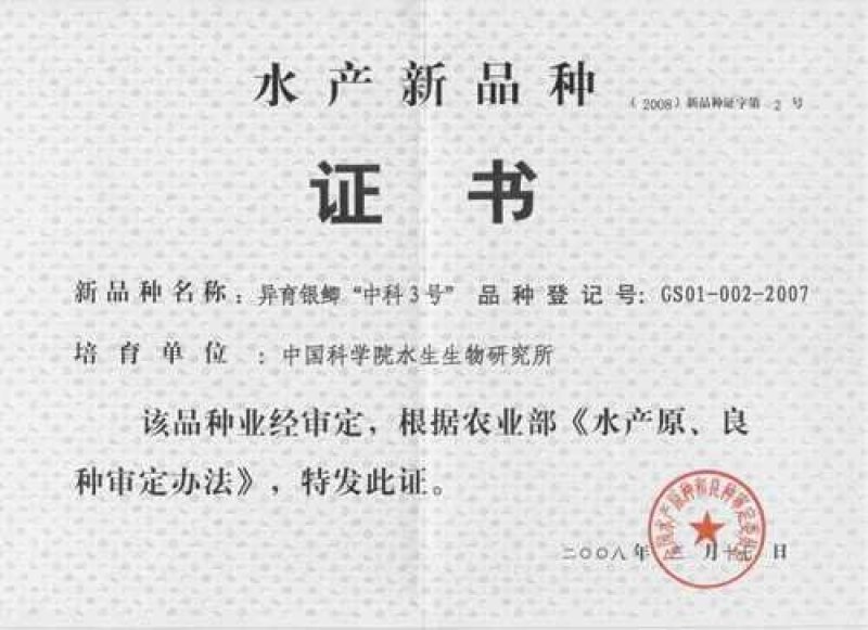 鲫鱼苗中科3号五号黄金鲫湘鲫良种鲫鱼可送货上门货到付款