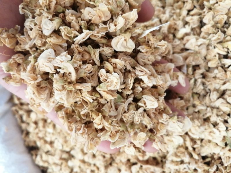 扁豆花，中药材扁豆花颜色漂亮长期有货供应