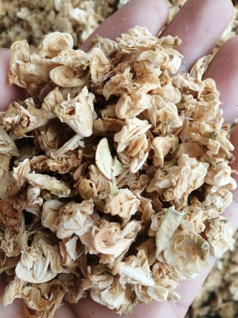 扁豆花，中药材扁豆花颜色漂亮长期有货供应