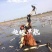 水果藕藕种研究所直供产量高