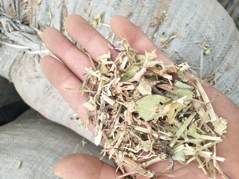优质花生秧牛羊驴马草无土无膜无霉麦草，小麦秸秆