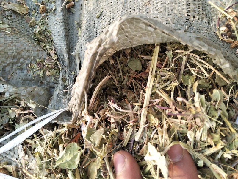 优质花生秧牛羊驴马草无土无膜无霉麦草，小麦秸秆