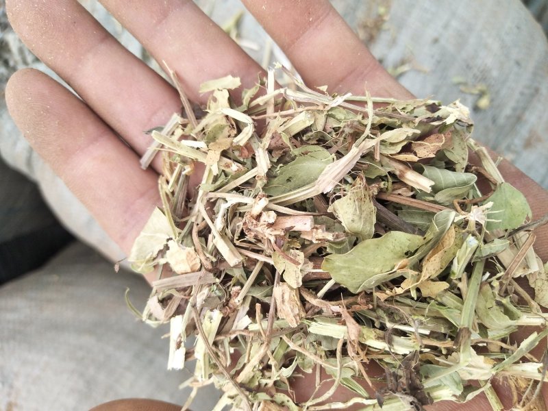 优质花生秧牛羊驴马草无土无膜无霉麦草，小麦秸秆