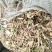 优质花生秧牛羊驴马草无土无膜无霉麦草，小麦秸秆