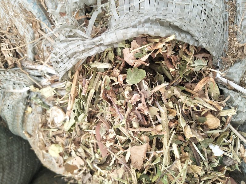 优质花生秧牛羊驴马草无土无膜无霉麦草，小麦秸秆